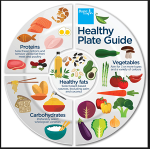Healthy Plate Guide